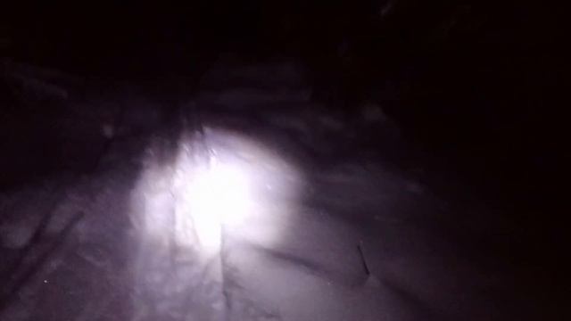 Полярная ночь в лесу зимой смотреть онлайн