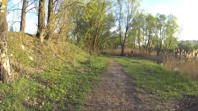 Велопрогулка вокруг озера / Воспоминания из детства смотреть онлайн