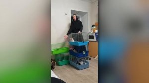 ВОТ СВОЛОЧИ, ГОСПОДИ ПРОСТИ. Не осуждать людей не выходит. Неправильная монахиня Арсения.