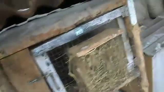 Как утеплить клетки кроликам.