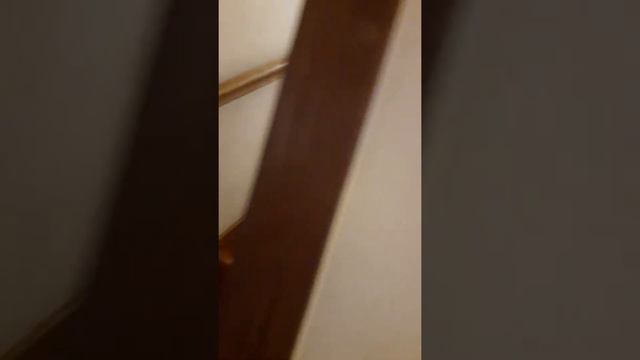 коттедж в аренду на БО Чайка у залива смотреть онлайн