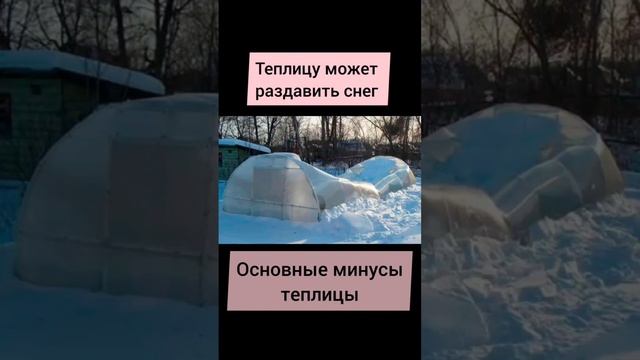 Нужна ли вам теплица? Плюсы и минусы #дача #садовая #теплица смотреть онлайн