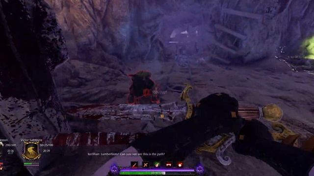 Vermintide 2 с ботами и рандомами в Chaos Wastes. смотреть онлайн