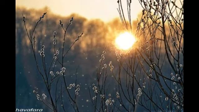 Сергей Прокофьев Симфония № 1 Классическая смотреть онлайн