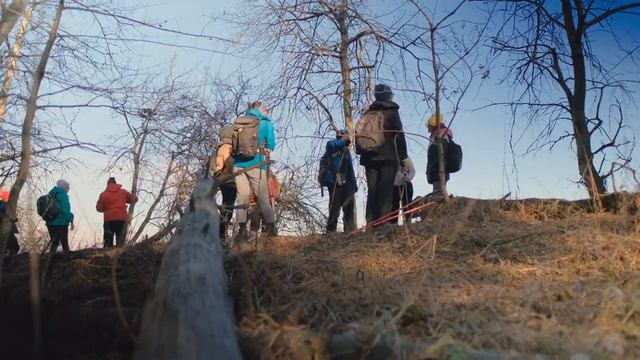 Сосновый бор "Аракарагай" смотреть онлайн