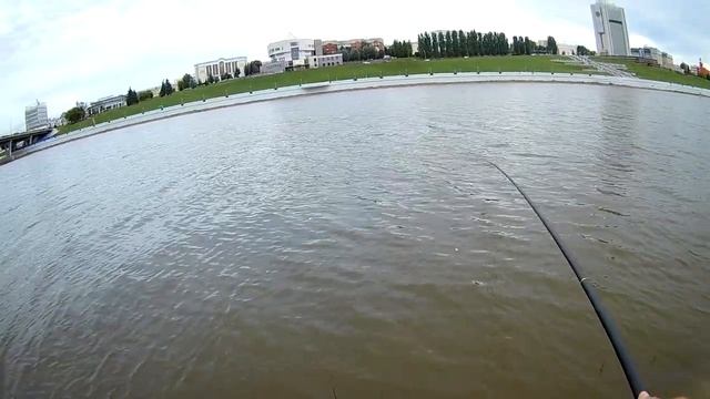 ЛОВЛЯ ПЛОТВЫ НА МАХОВУЮ УДОЧКУ | РЫБАЛКА НА ПОПЛАВОК смотреть онлайн