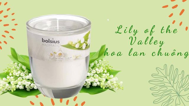 Nến thơm tinh dầu thiên nhiên Bolsius 105g, thư giãn, khử mùi, không khói смотреть онлайн