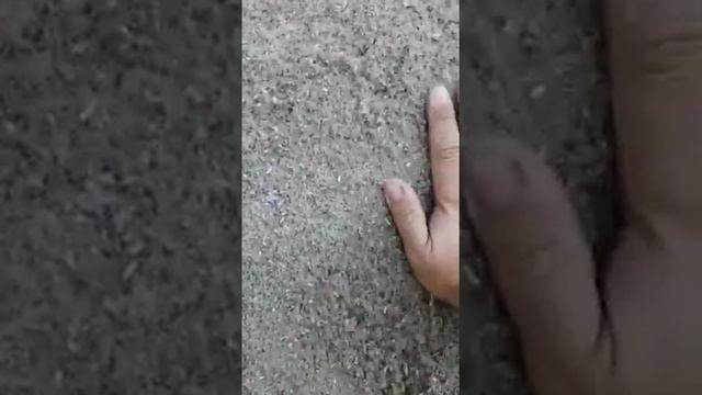 Эффективность эковаты спустя 2 недели! смотреть онлайн