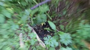 72 ЧАСА В ЛЕСУ, Ночь у реки. Рыбалка, Пеше-водный поход. Пакрафт Иволга, АБВГАТ. Часть 1