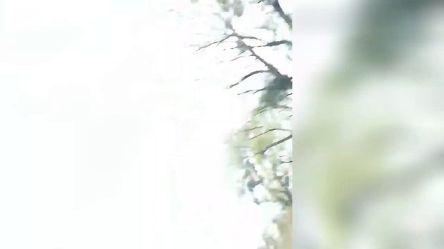 Неудачная МАГНИТНАЯ РЫБАЛКА на диком пруду___Фотоохота на ящерицу. смотреть онлайн