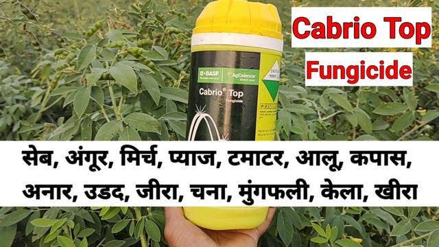Cabrio Top Fungicide || BASF || Metiram 55% + Pyraclostrobin 5% WG || A2z Farming смотреть онлайн