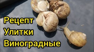 Рецепт природных виноградных улиток