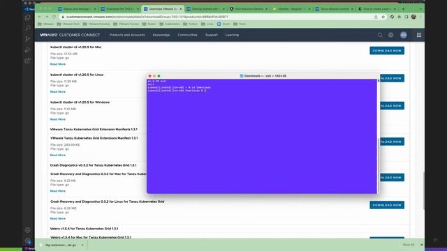 VMware Tanzu - Ingress Controller - Contour смотреть онлайн