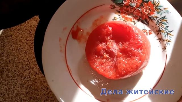 ? Спаржевая фасоль тушёная с овощами смотреть онлайн
