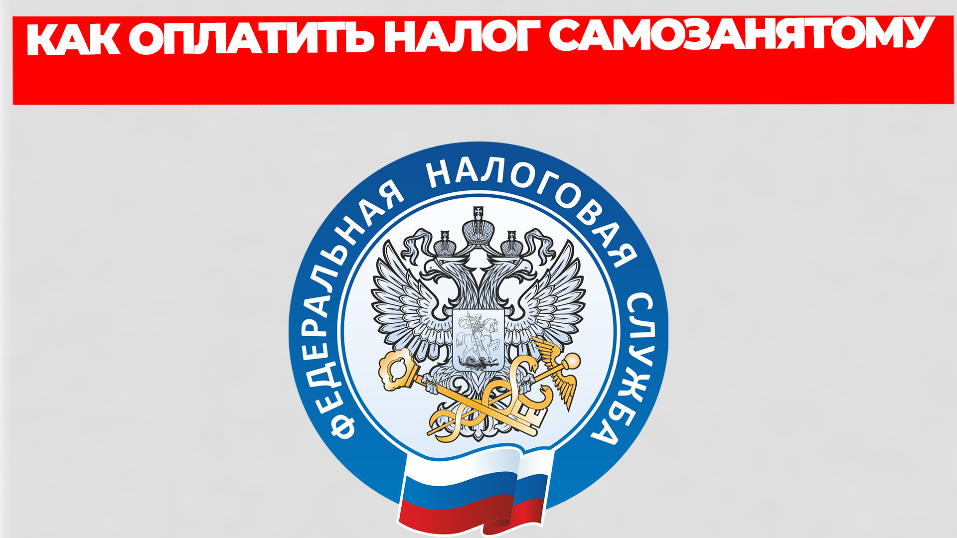 Всезнающий Енот