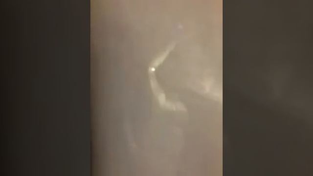 9 сетка на окна и двери с липкой лентой от мух и комаров смотреть онлайн