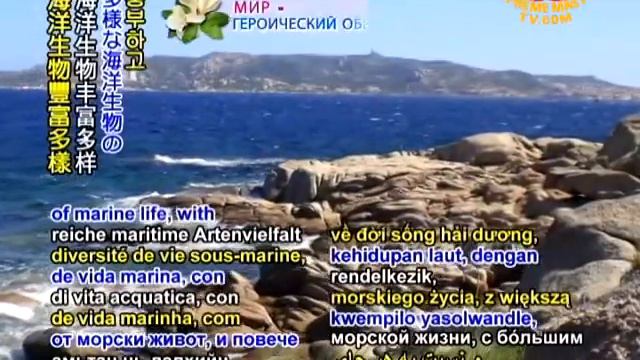 TODAY IN HISTORY - Palau's National Day - 09 July 2010 смотреть онлайн