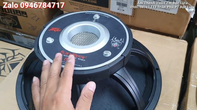 Loa Mỹ USA 40 Mới Về, PEAVEY BLACK WIDOW 1508, EMINENCE KAPPA PRO 15A, MIXER MACKIE PRO FX12V3 смотреть онлайн