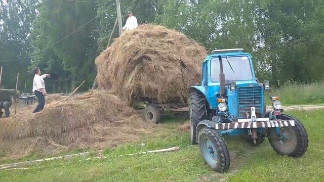 Живу в деревне//Сенокос начали//Огурцы гиганты.