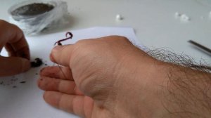 Как насадить кукурузу ,червя, на волосяную оснастку, если нет спец.иглы