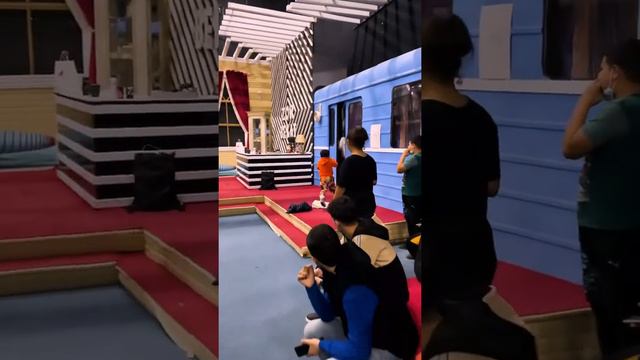 Erali Aristokratlar Jamoasiga Ilon Bilan Hujum Qildi