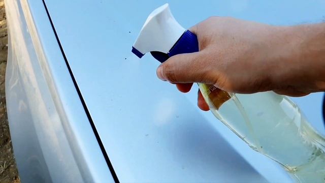 Araba Kaportasından Reçine Böyle Temizlenir!
