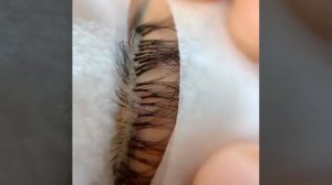 РАБОТА С РЯДАМИ ПРИ НАРАЩИВАНИИ РЕСНИЦ