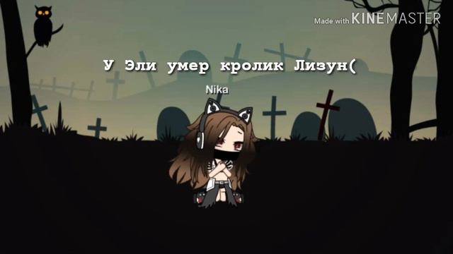 Прощай кролик Лизун(