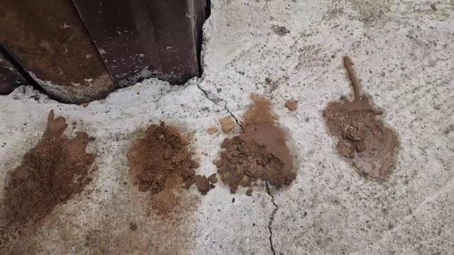 Мелкодырочник, опять взялся за свое. Абиссинская скважина, родниковая вода, на Дачном участке смотреть онлайн