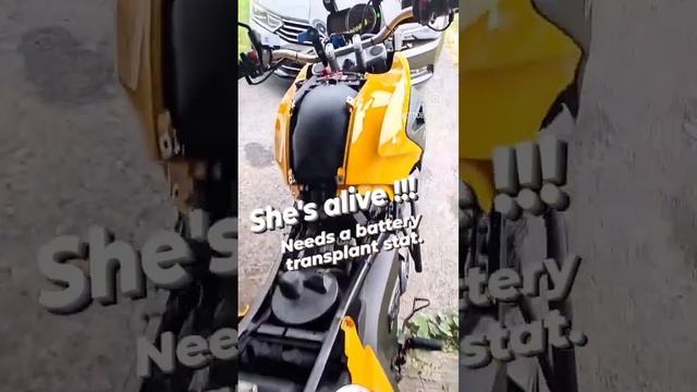 G650GS missed the MOT but she lives again! смотреть онлайн