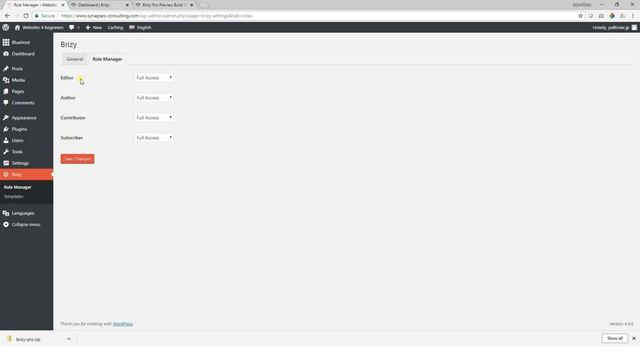 Brizy PRO Features | Role Manager смотреть онлайн