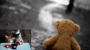 Поздравление с днем влюбленных мульт