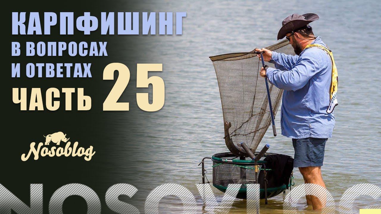 Карпфишинг в вопросах и ответах №25, А. Колесников смотреть онлайн