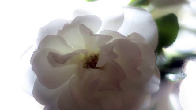 Слушать хорошую русскую песню для сна 2015 года смотреть онлайн