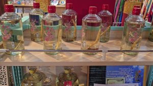 ХАЙНАНЬ ЭКСКУРСИИ ЧАСТЬ -1 ОБЗОРНАЯ И ПЕРВАЯ ЕДА В КИТАЕ