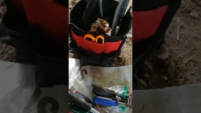 Канада мотоцикл Suzuki gs500e t(2) смотреть онлайн