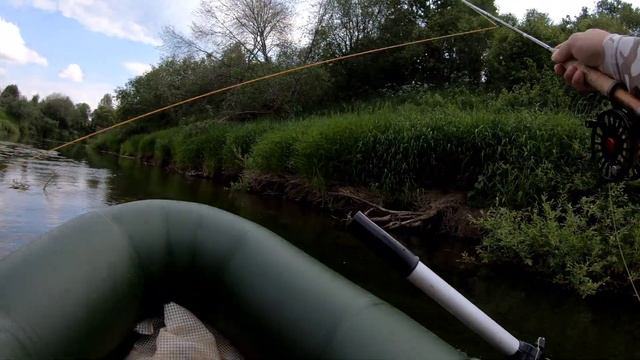 Ловля голавля нахлыстом на небольшой реке. Особенности сплавной рыбалки. Часть IIl смотреть онлайн