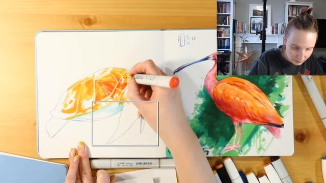 Рисуем черепаху спиртовыми маркерами | Запись прямого эфира смотреть онлайн