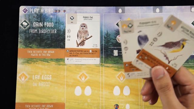 [Hướng dẫn Board game] Wingspan #1: Set up và Giới thiệu luật chơi Wingspan смотреть онлайн