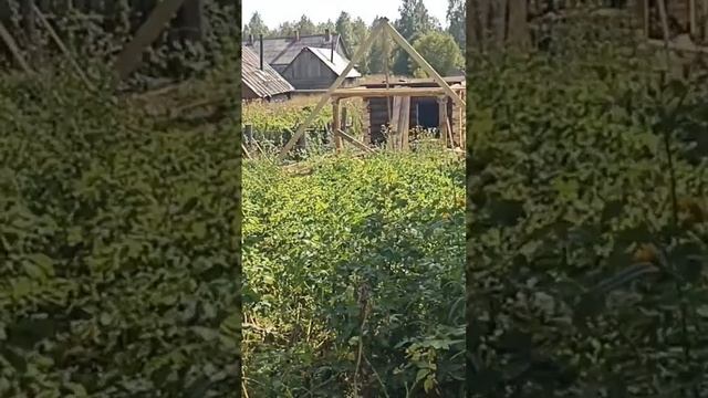 Высота стропил на бане | bath rafter height смотреть онлайн