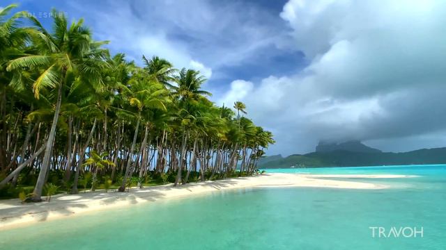 Exploring Motu Tane Island | Bora Bora, French Polynesia 🇵🇫 | 4K Travel