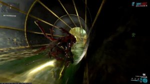 How I farm Kavat Genetic Codes