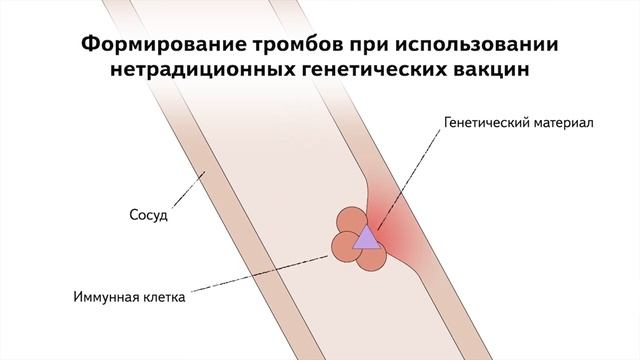 Кургинян – сторонникам и противникам вакцинации: оставьте ваш тон и возьмите человеческий! смотреть онлайн