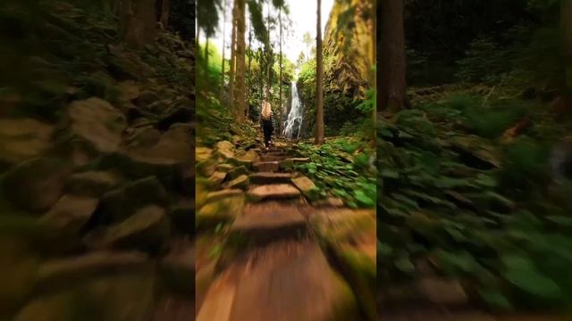 Красивый лес в Германии?#shorts #germany #love смотреть онлайн