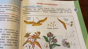 Окружающий мир/3 класс/Плешаков/часть 1/ Тема: Размножение и развитие растений/07.11.21