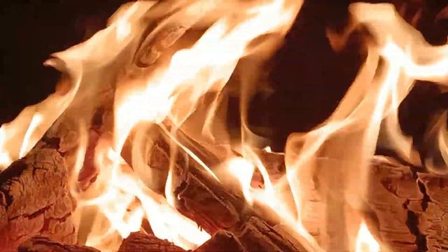 Костер. Огонь. Костер на улице. Костер и ветер. Звук костра. Ночь. Костер ночью на улице