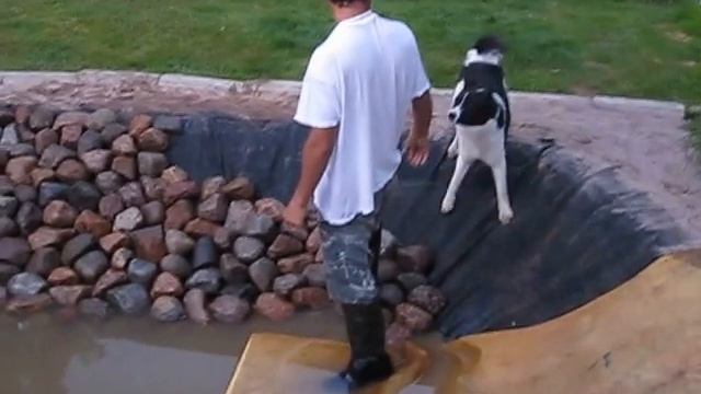 пруд придумал сам смотреть онлайн