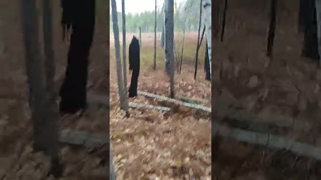 На болото по клюкву смотреть онлайн