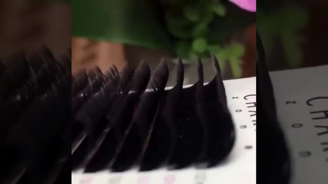 Чёрно-коричневые Ресницы Beautier смотреть онлайн