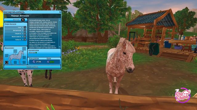 |Star Stable Online| - Обновление Аппалузы